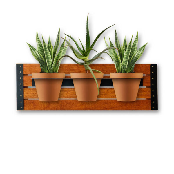 Galvanised Wall Garden