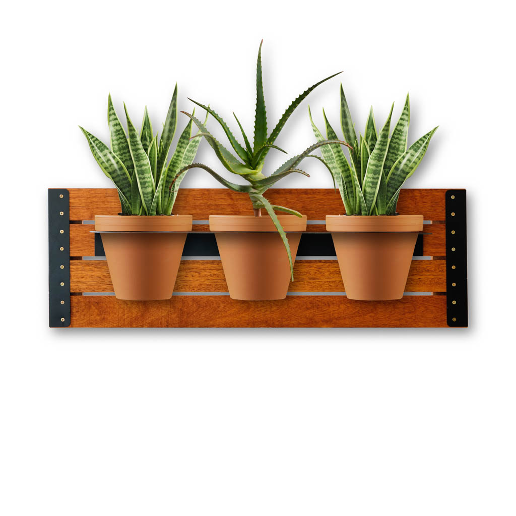 WALL-GUM-BLACK-PLANTS-01