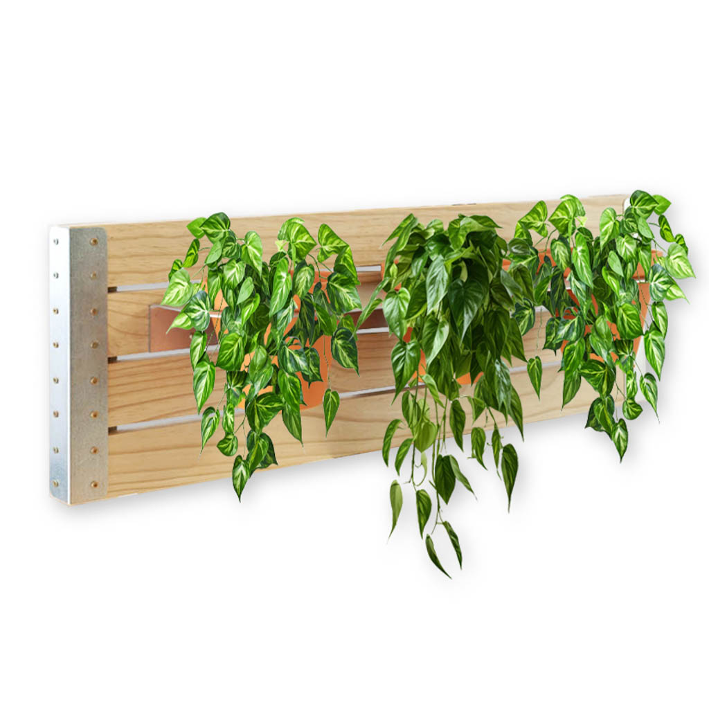 WALL-PINE-GALV-PLANTS-02